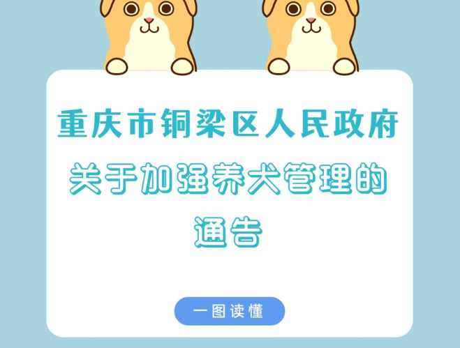 【图片解读】《hongtaotv关于加强养犬管理的通告》